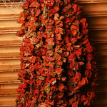 Getrocknete Paprika  40_ 45 Stück(scharf)